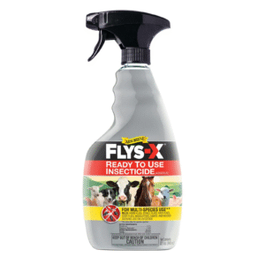 🪰 Fly & Pest Control Sprays for Mini Highland Cows – Keep the Bugs Away! 🐮