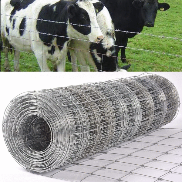 🚧 Fencing Supplies for Mini Highland Cows – Safe, Secure & Built to Last! 🐮