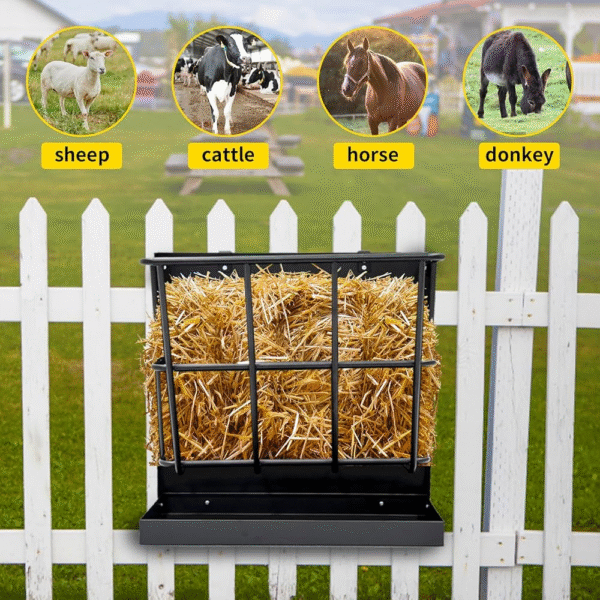 🌾 Hay Nets & Racks for Mini Highland Cows – Clean Feeding, Less Waste! 🐮