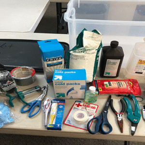 🩺 Veterinary First Aid Kit for Mini Highland Cows – Be Ready for Any Bump or Bruise! 🐮