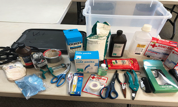 🩺 Veterinary First Aid Kit for Mini Highland Cows – Be Ready for Any Bump or Bruise! 🐮
