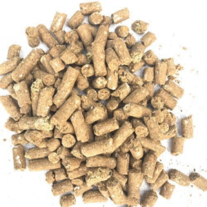 🌽 Grain & Pelleted Feed for Mini Highland Cows – Balanced Nutrition in Every Bite! 🐮